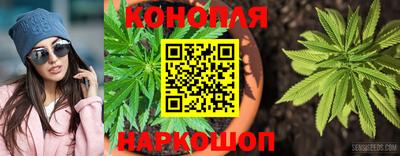гашишное масло Кингисепп