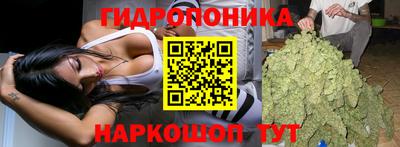 гашишное масло Кингисепп
