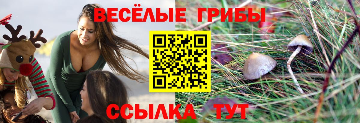 Галлюциногенные грибы Magic Shrooms Кострома